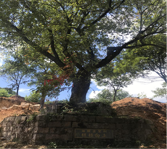 微信图片_20201030171448.png